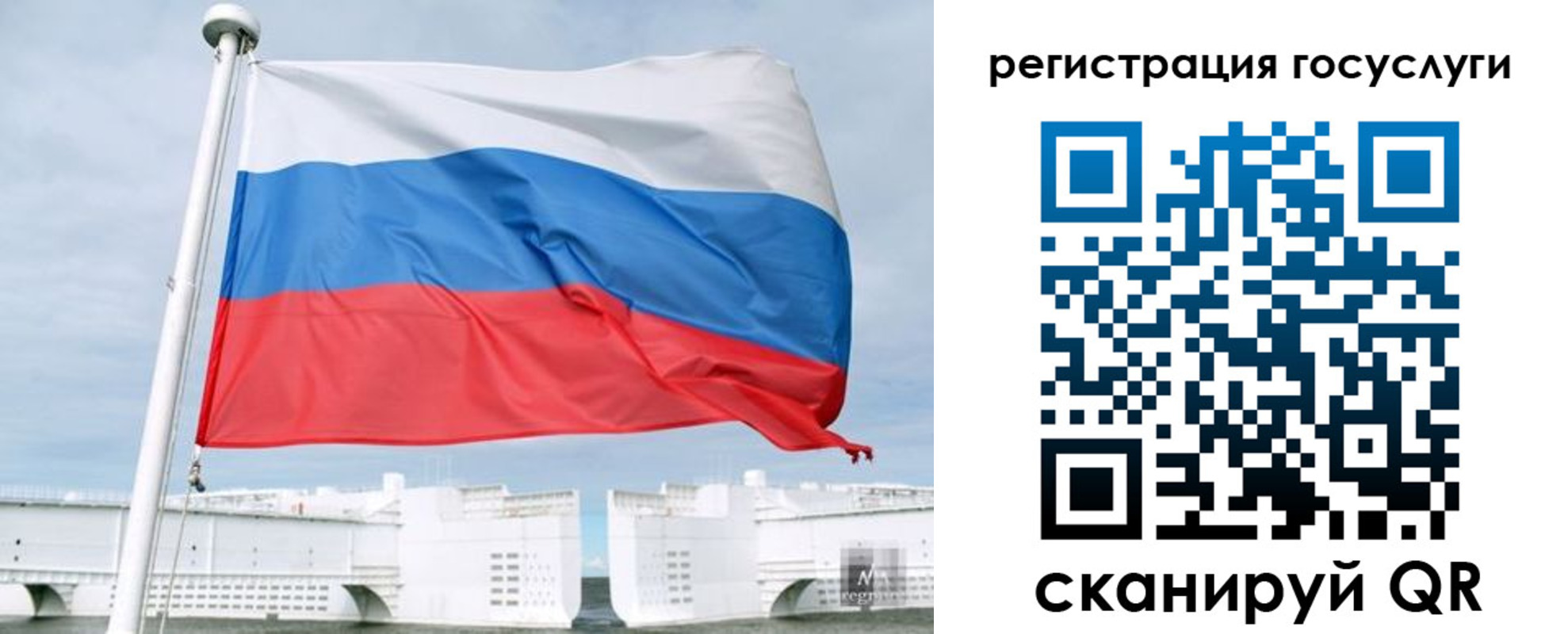 временная регистрация поиск в Челябинской области